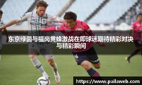 东京绿茵与福岗黄蜂激战在即球迷期待精彩对决与精彩瞬间